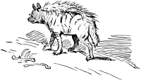 Hyena