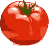 Tomato
