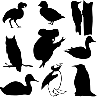 Birds Silhouettes And A Koala