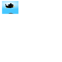 Crow-animation