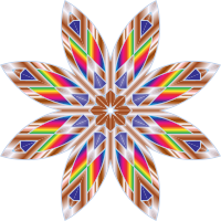 Colorful Flower Star