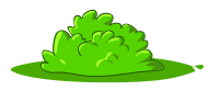 bush
