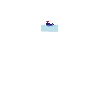 Whale-css-animation-fixed