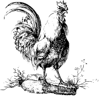 Cockeral