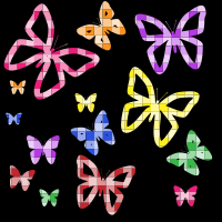 Colorful Butterflies Wallpaper