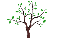 Sparse Foliage Tree