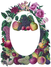 Vintage Floral And Fruit Frame