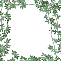 Green Floral Frame