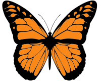 Monarch Butterfly