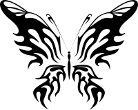 Butterfly Line Art 14
