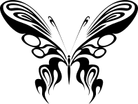 Butterfly Line Art 17