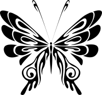 Butterfly Line Art 18