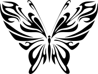 Butterfly Line Art 20
