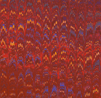 Feathery pattern (colour)