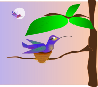 FAMÍLIA BEIJA-FLOR