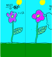 Flower Bee Comic