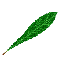Green leaf 2, textured