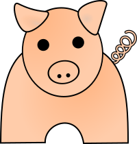Pig