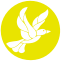 Yellow Bird