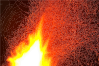 Sanguine Mesh Of Deceit