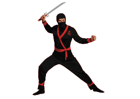 Ninja