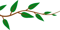 Alternate Leaf