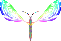Neo Butterfly