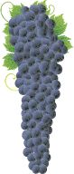 Bunch Of Delicious Grapes AI