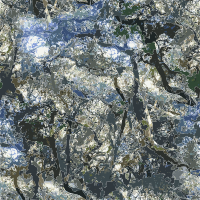 buena vista park tree tangle