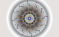 Wave Division Multiplexing 2