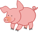 pig