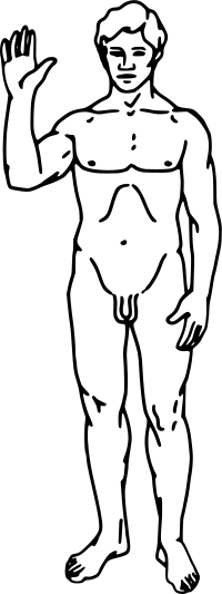 Man Outline
