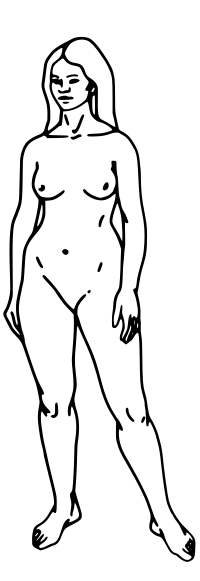 Woman outline