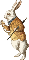 The white rabbit (isolated, colour)