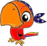 Pirate Parrot