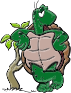 Cartoon Turtle