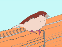 Perching Bird