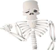 Cartoon Skeleton