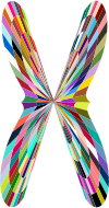 Colorful Geometric Butterfly 2