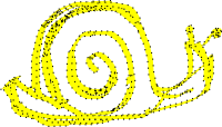 snail