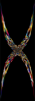 The X