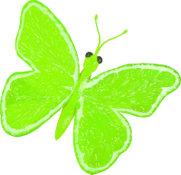 Citrus fruit butterfly (lime)