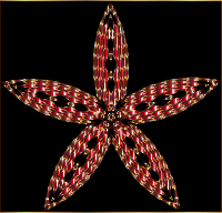 Checkered Flower Shape 7