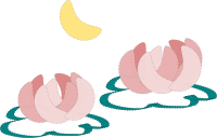 water lily and moon