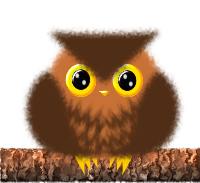 Brown Owlet