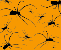 Spiders With Orange Background