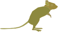 Green Mouse