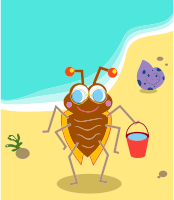 Beach Bug