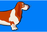 Basset Hound