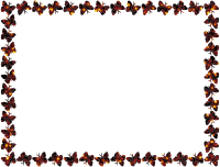 Butterfly frame (patterned)